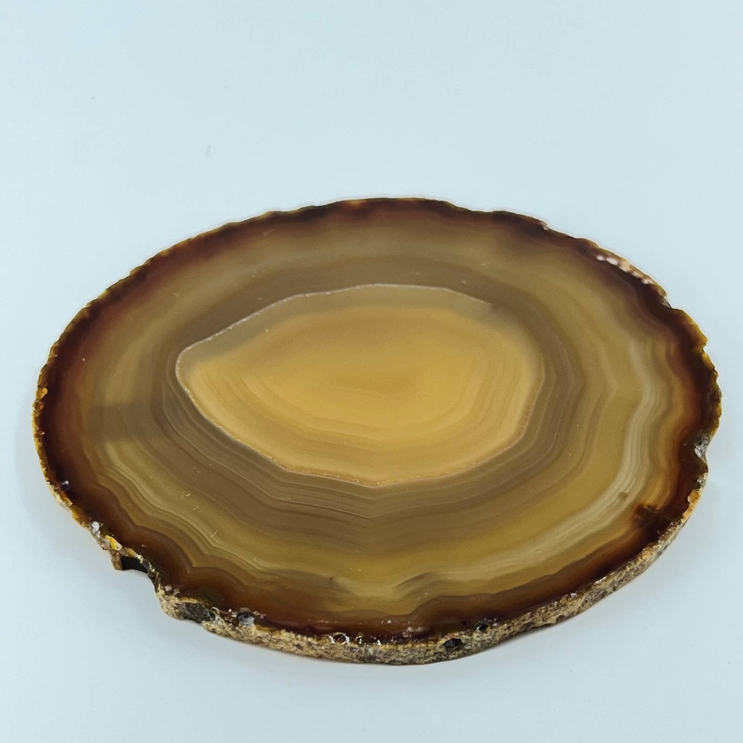 Vintage Brown Geode Slice Polished 4” Made in Brazil SD1
