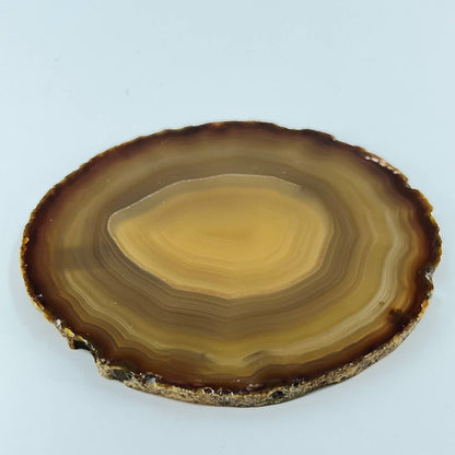 Vintage Brown Geode Slice Polished 4” Made in Brazil SD1