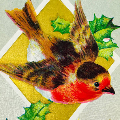 1910s Christmas Post Card Embossed Bird Robin Holly Dresden Gold PA4