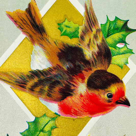 1910s Christmas Post Card Embossed Bird Robin Holly Dresden Gold PA4