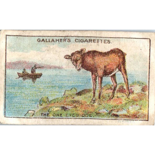 1930s Gallaher Cigarette Card Fables & Their Morals #79 One Eyed Doe SE5