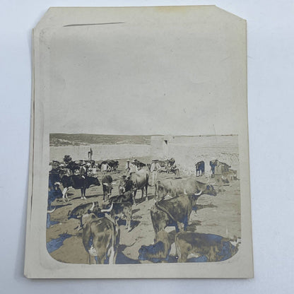 1903 Original Sepia Photograph Ranch of Don José Aguirre Zacatecas Mexico AC7