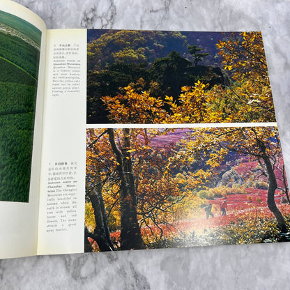 China Forest Tour Book Ministry of Forestry People's Republic of China TK1