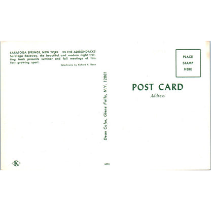 Saratoga Springs NY Raceway Original Postcard TK1-23