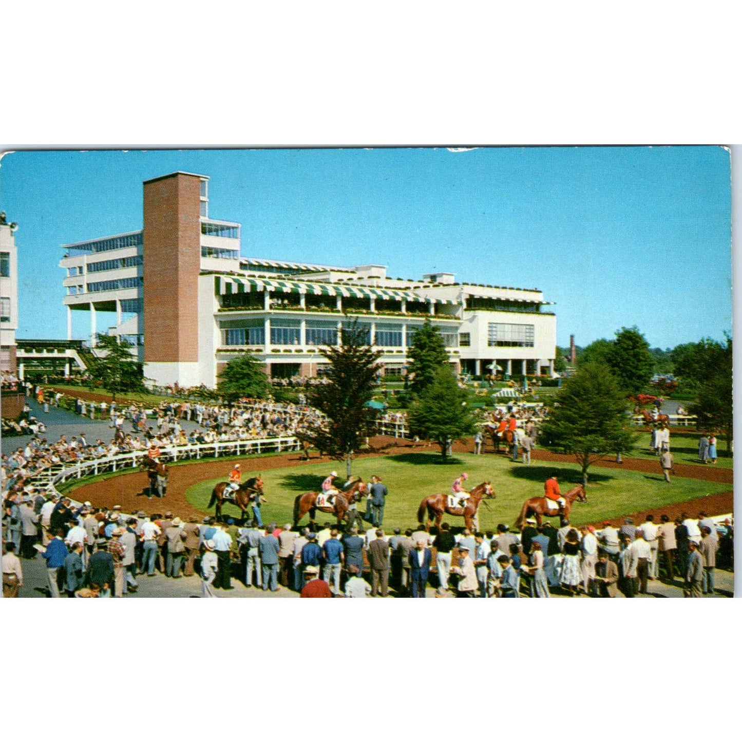 Monmouth Park Horse Racing Track Oceanport NJ Original Postcard TK1-23