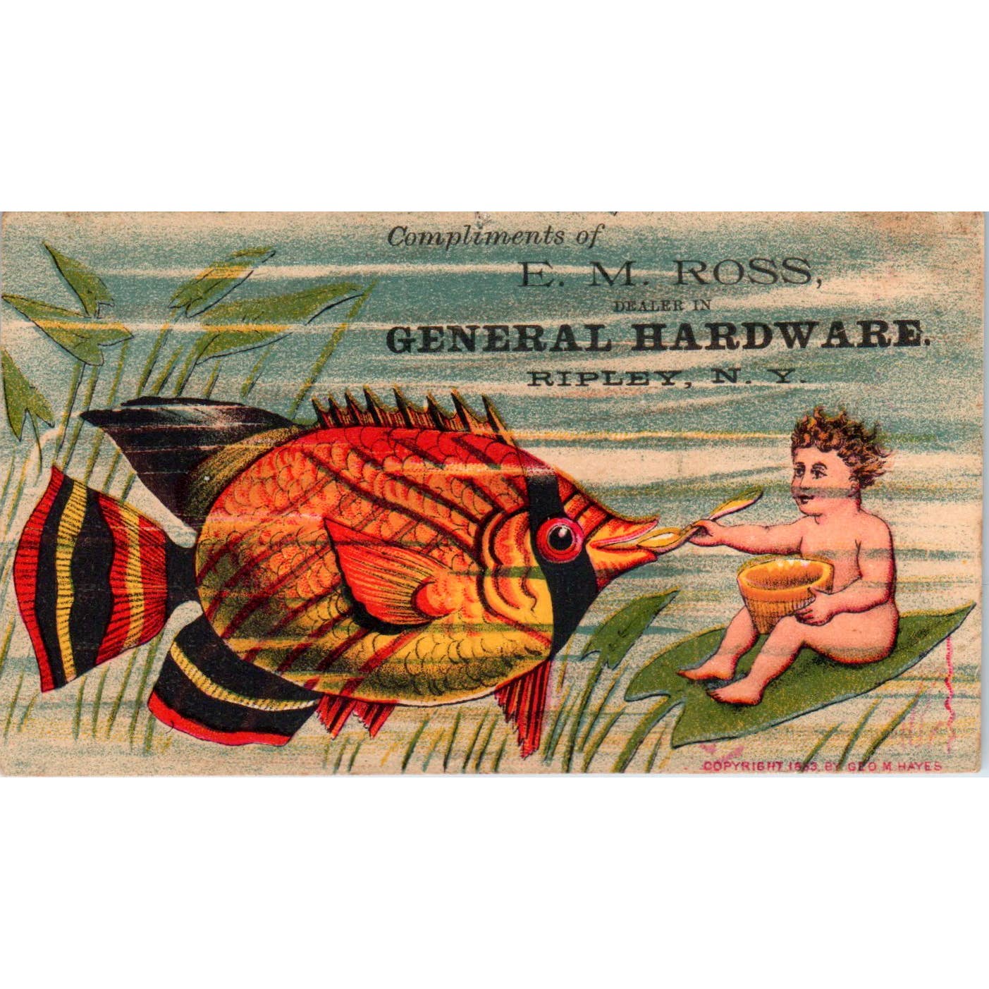 1880s Trade Card E.M. Ross Hardware Ripley NY Fantasy Cherub Tropical Fish SF2-3