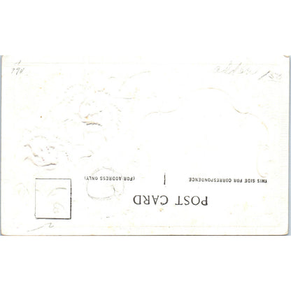 Photo of Woman in Flower Hat Airbrushed Embossed c1910 Original Postcard TK1-P20