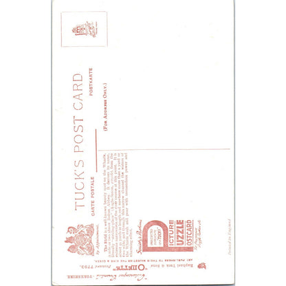 Yorkshire The Strid Raphael Tuck Oilette Original Postcard TK1-P14