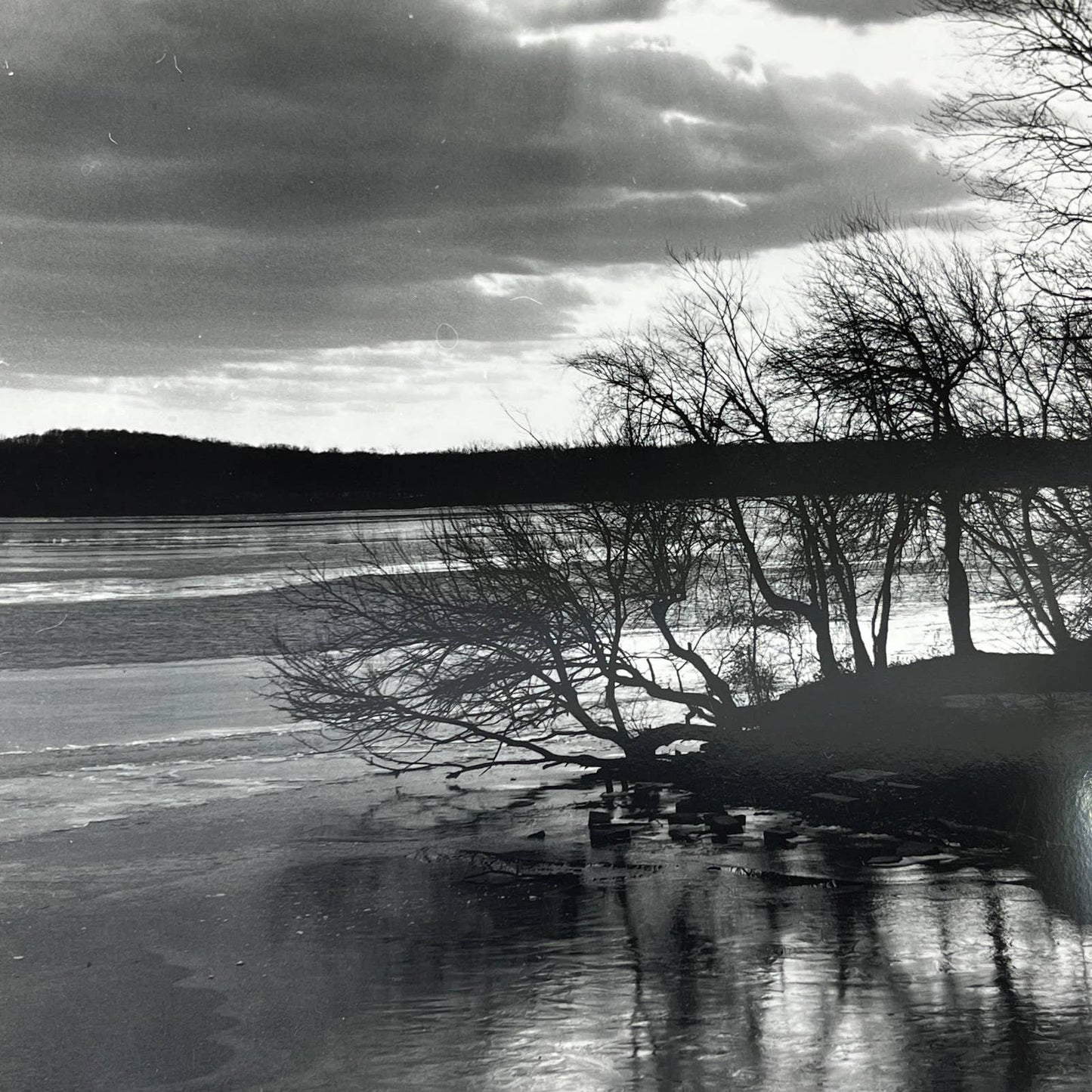 Vtg Original Art B&W Photo Forest Lake View Randolph Allen Kennedy 11x14 FL4