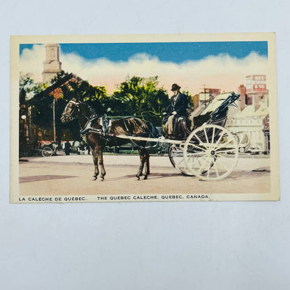 Vintage Postcard Quebec Caleche Horse Buggy Carriage Canada PA8