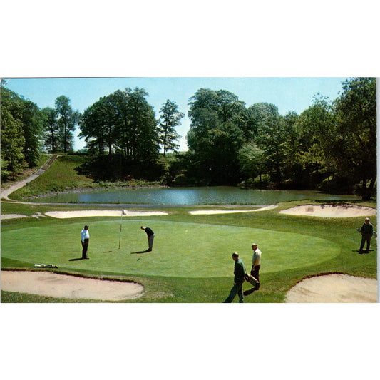 On the Green California Golf Course Cincinnati OH 1950s Original Postcard P2-9
