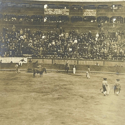 1903 Original Photo Bullfighting Bullfight At Plaza de Toros Mexico City AC7-6