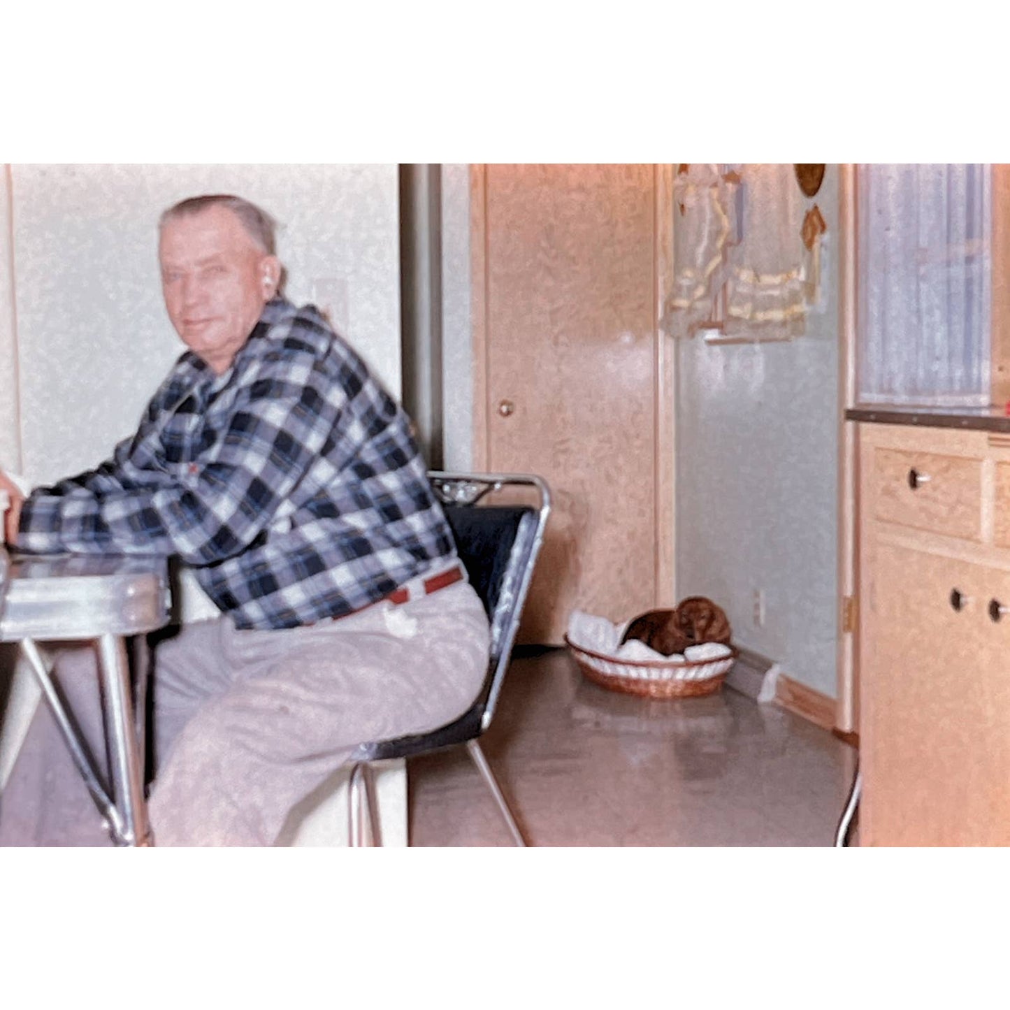 1965 Original Color Slide Brown Cocker Spaniel Dog Set of 2 2x2 TK2-S4-26