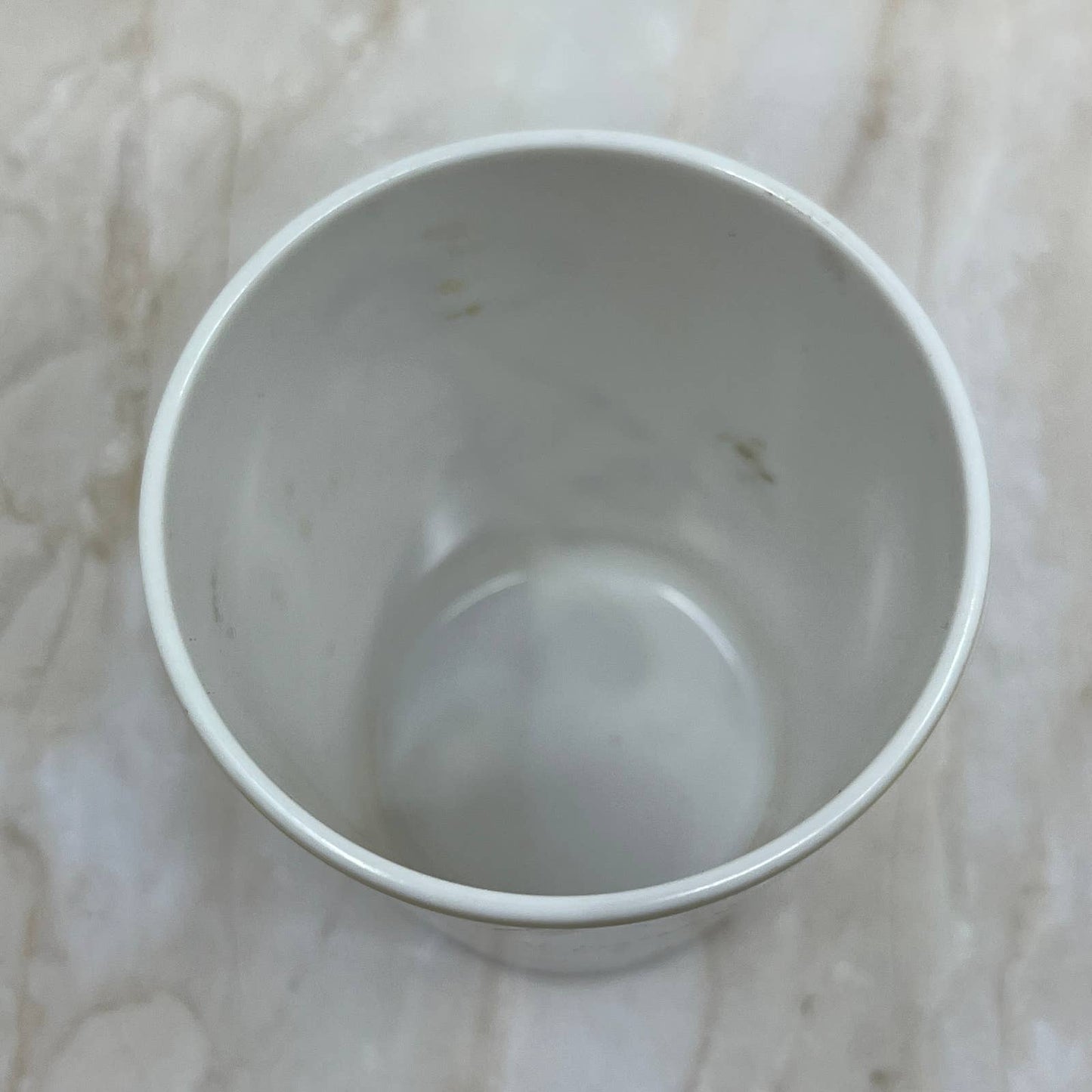1960s Child's Cup Picturing Dino of The Flintstones Melmac Boonton Molding TI7