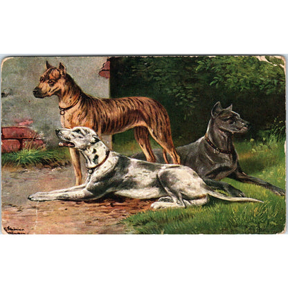 Antique Postcard Trio of Great Dane Dogs Alfred Schonian Germany EA3