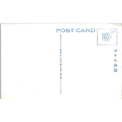 KOTOTOI BRIDGE, TOKYO - Original Postcard TJ9-P1