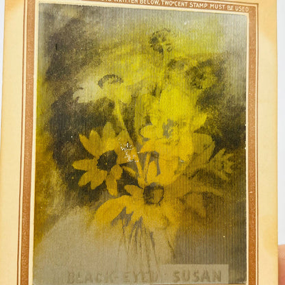 1906 Post Card Lenticular Girl Black Eyed Susan PA7