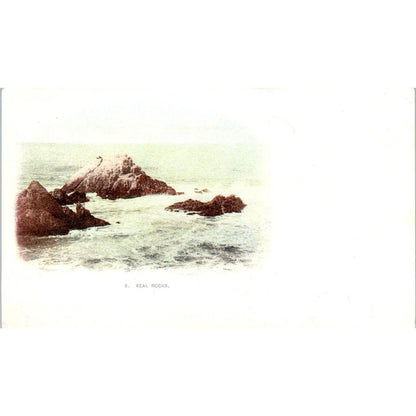 c1905 Seal Rocks - Original Postcard TJ7-RP3
