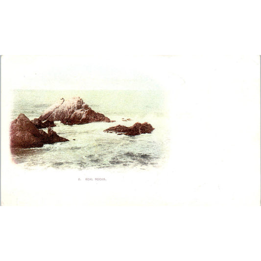 c1905 Seal Rocks - Original Postcard TJ7-RP3