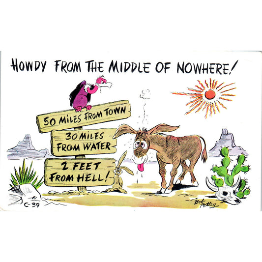 Howdy from the Middle of Nowhere Humor Original Postcard P2-1