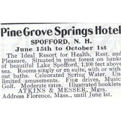 Pine Grove Springs Hotel Spofford NH Atkins & Messer - 1903 Original Ad TJ7-S9