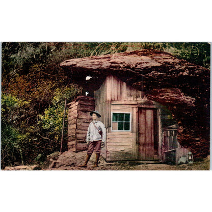 Farmhouse in Crowley California c1910 Original Postcard TK1-P20