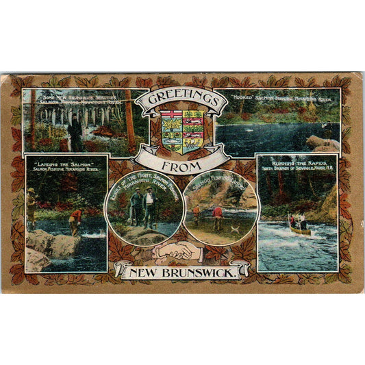 New Brunswick Canada Souvenir c1909 Original Postcard TK1-21