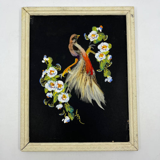 Antique Framed Feather Art Bird Postcard Made in Mexico 7x9.5 TI4