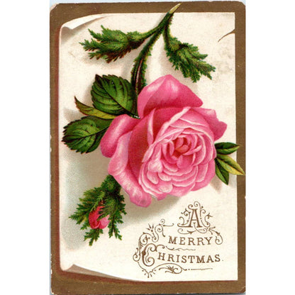 1880s Victorian Embossed Christmas Card Pink Rose SE8