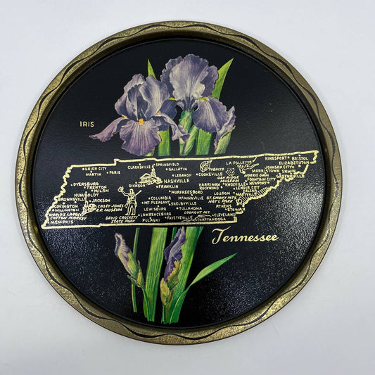 Vintage Black & Gold Metal State Souvenir Plate Tray Tennessee 11” TH2