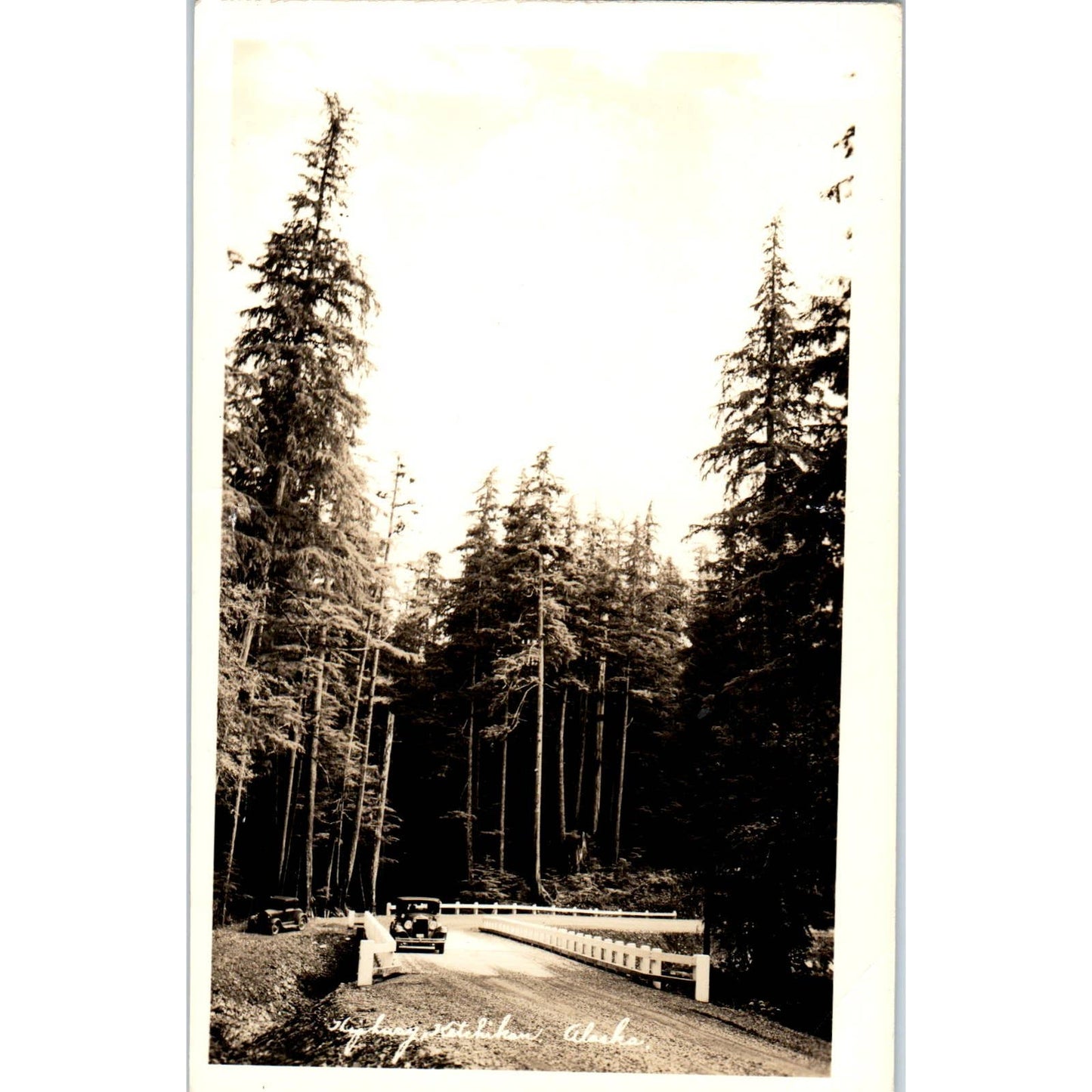 Ketchikan Highway RPPC Alaska Original Postcard TK1-30