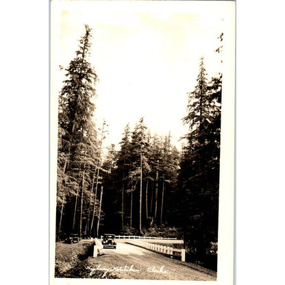 Ketchikan Highway RPPC Alaska Original Postcard TK1-30