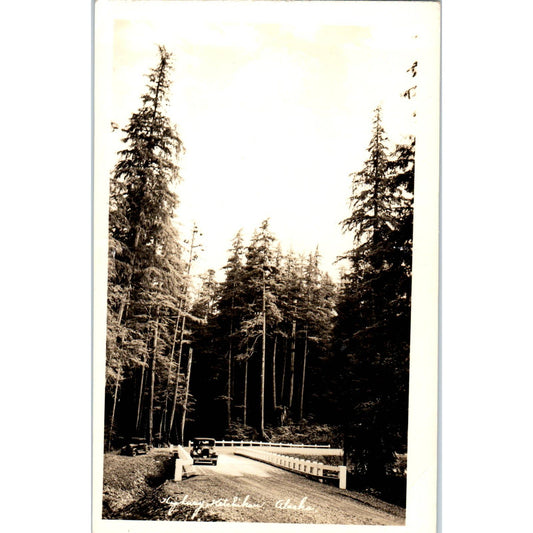 Ketchikan Highway RPPC Alaska Original Postcard TK1-30