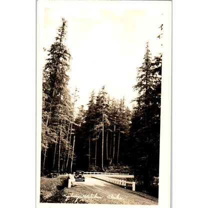 Ketchikan Highway RPPC Alaska Original Postcard P2-6