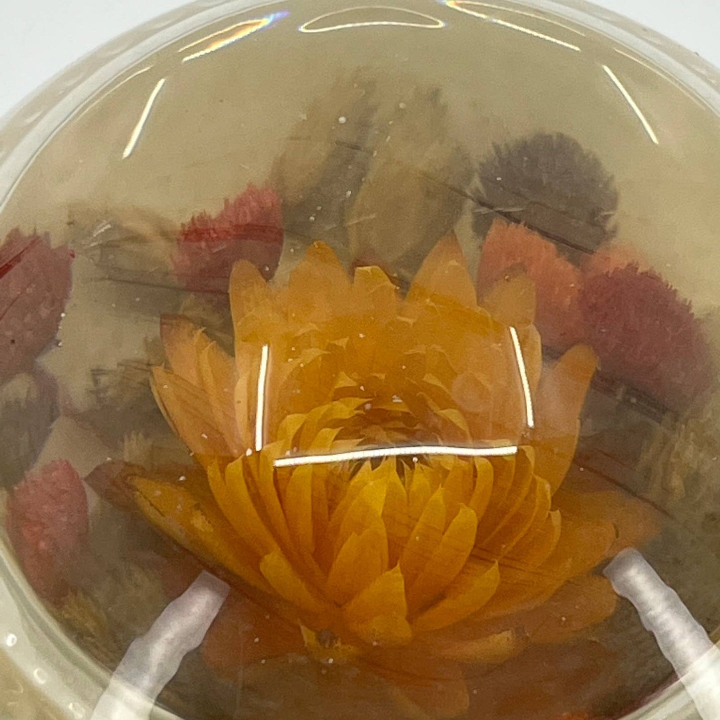 Antique Glass Paperweight Dried Flowers Red Orange 3” SA3