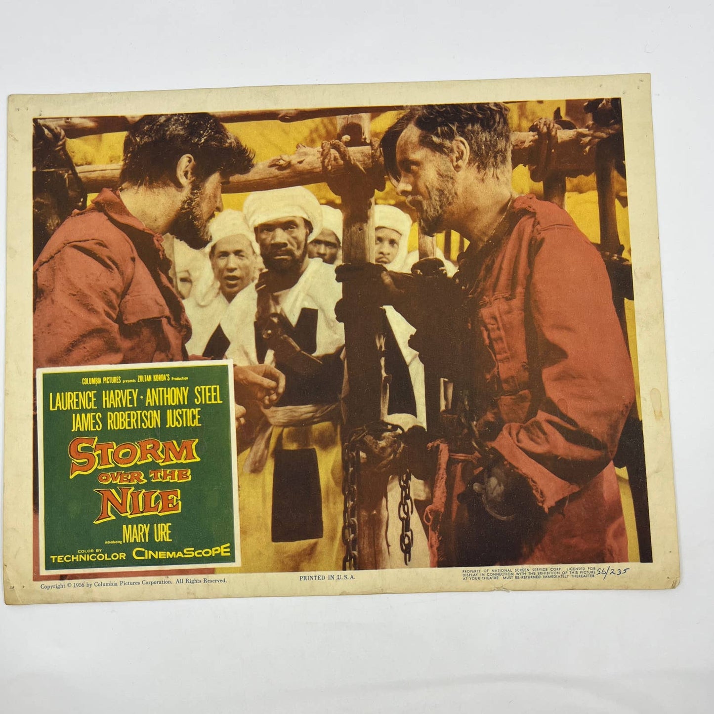 1956 Storm Over the Nile Lobby Card Laurence Harvey Anthony Steel #3 FL4