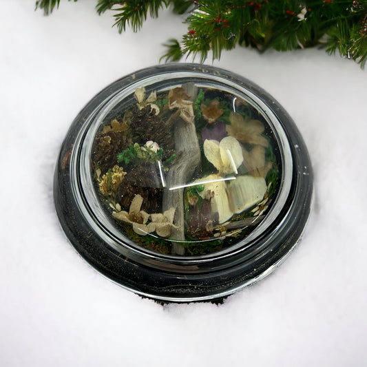 Vintage Paperweight Glass Floral 3" Floral Woodland Scene Pinecones TK3