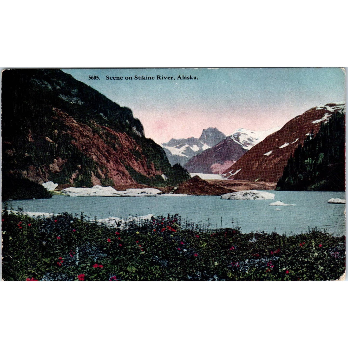 1915 Scene on the Stikine River Alaska Original Postcard TK1-29