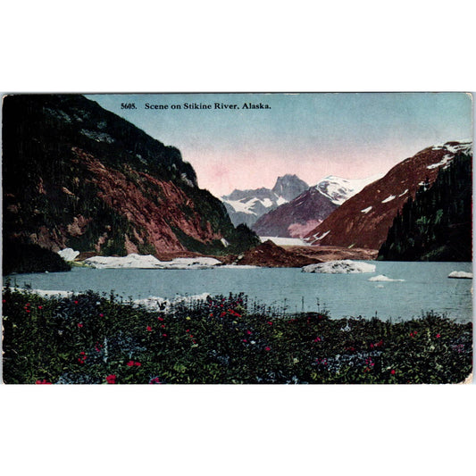 1915 Scene on the Stikine River Alaska Original Postcard TK1-29