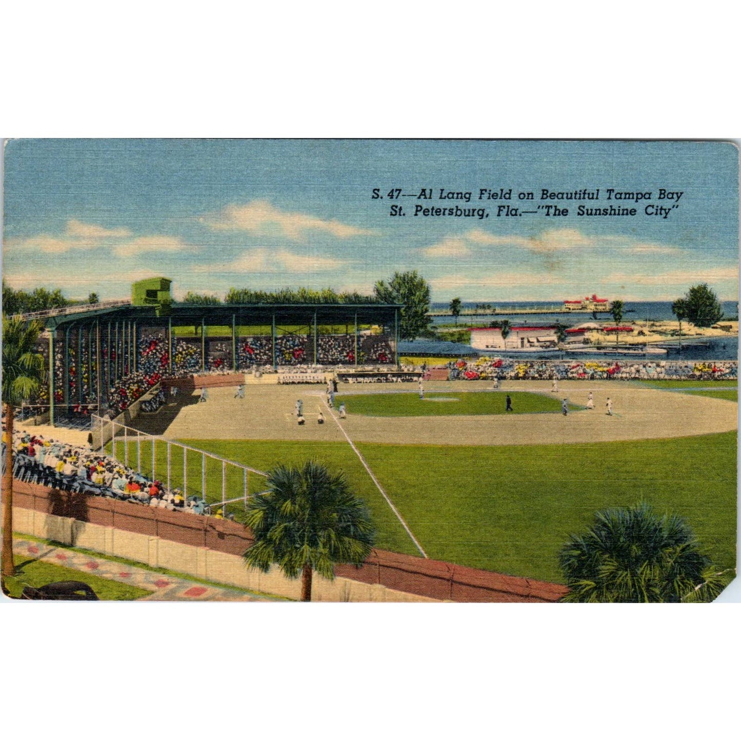 Al Lang Field Tampa Bay Florida Sunshine City Original Postcard TK1-24