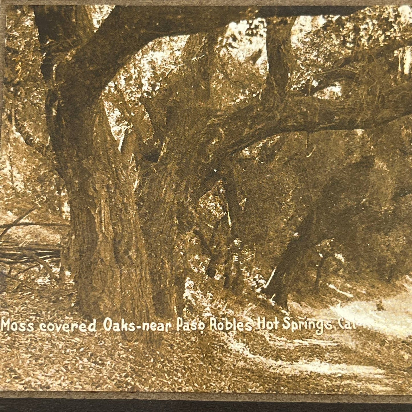 1914 RPPC Postcard Paso Robles Hot Spring CA Wilhelmina Timm Buffalo KS AC2