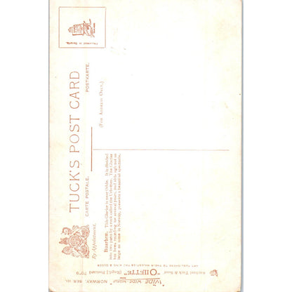 Norway Buarbrae Glacier Raphael Tuck Oilette Original Postcard TK1-P17