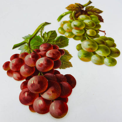 1880s LARGE Victorian Die Cut Red and Green Grapes Set 5 1/2” Each AA2