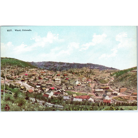 Aerial View of Ward Colorado Original Postcard P2-2