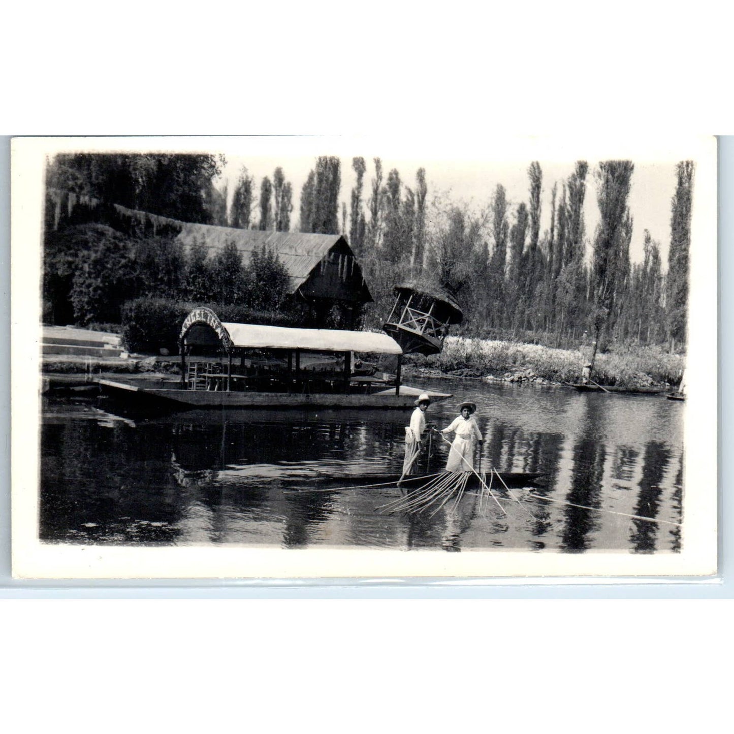 Xochimilco Floating Gardens Angelina Sightseeing Mexico - RPPC Postcard TJ7-MP
