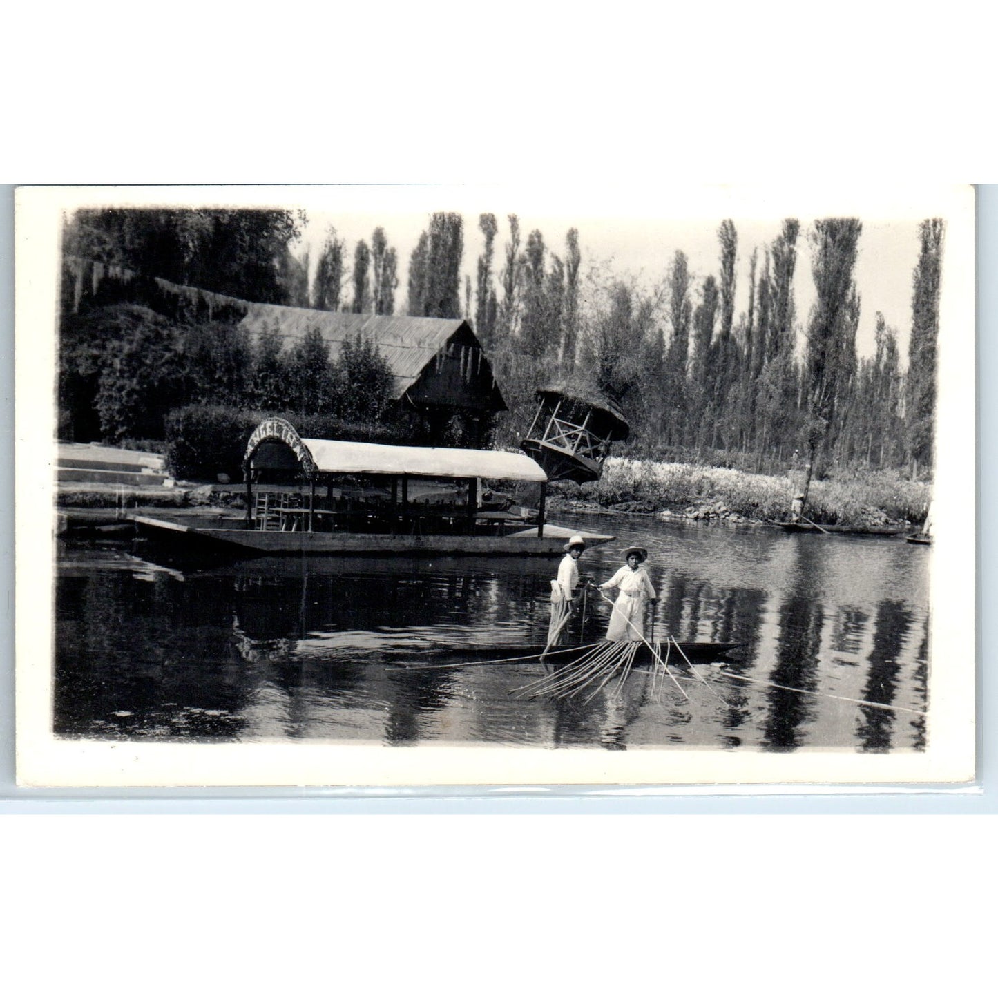Xochimilco Floating Gardens Angelina Sightseeing Mexico - RPPC Postcard P3-8
