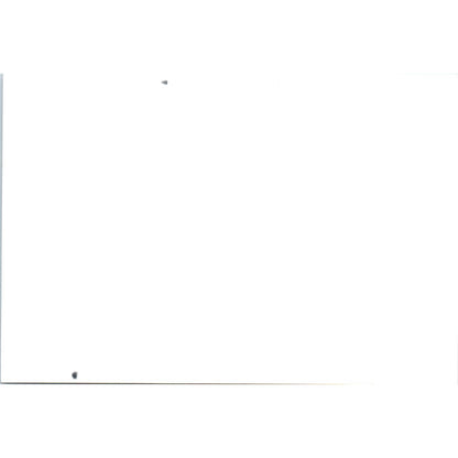 1940s Photo of Woman Standing on Logs in Lumberjack Logging Camp 3x5 SE5