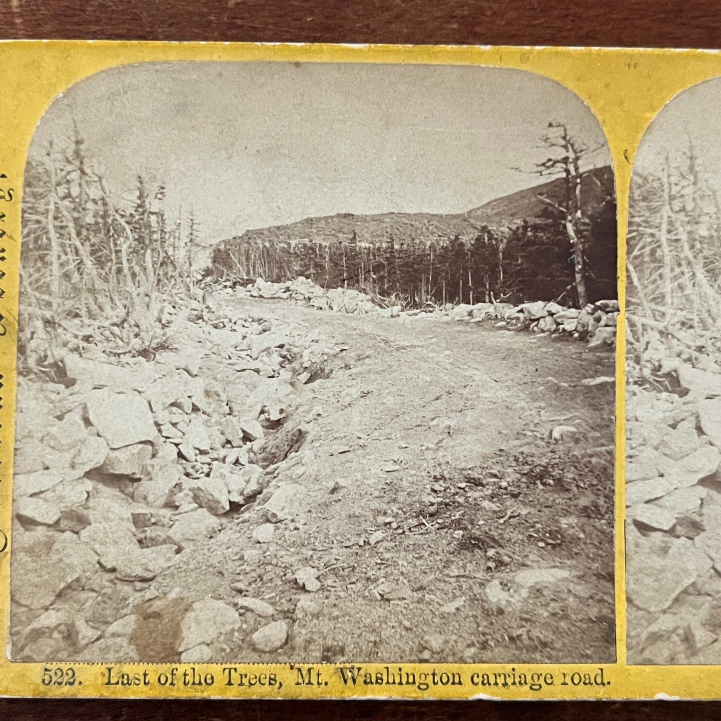 Last of the Trees Mt. Washington Carriage Road Antique Stereoview Card TJ9-V2