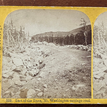 Last of the Trees Mt. Washington Carriage Road Antique Stereoview Card TJ9-V2