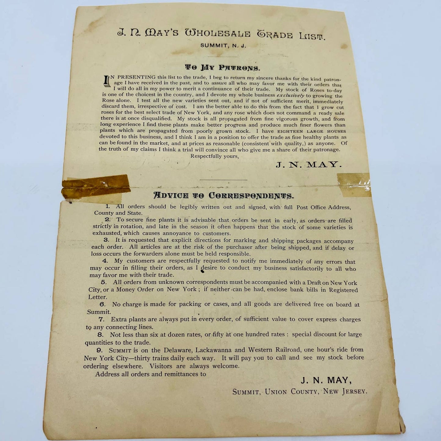 1886 JN May Roses Summit Union County NJ Billhead Letterhead Advertisement AA4